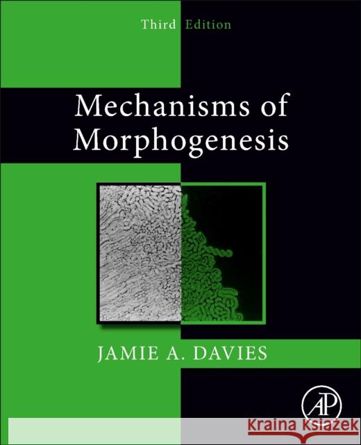 Mechanisms of Morphogenesis Jamie A. Davies 9780323999656 Academic Press