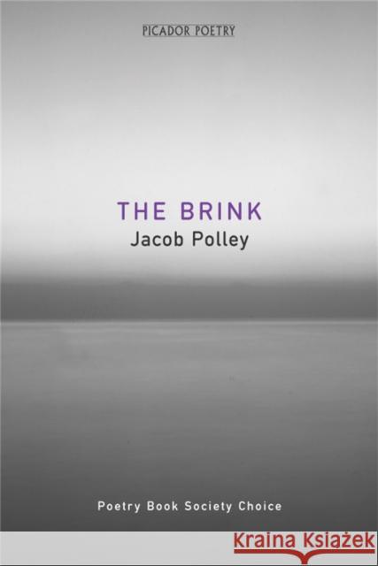 The Brink Jacob Polley 9780330412889