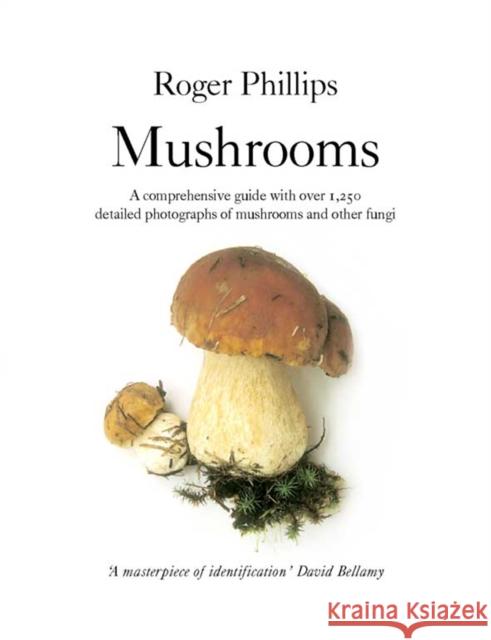 Mushrooms Roger Phillips 9780330442374 Pan Macmillan