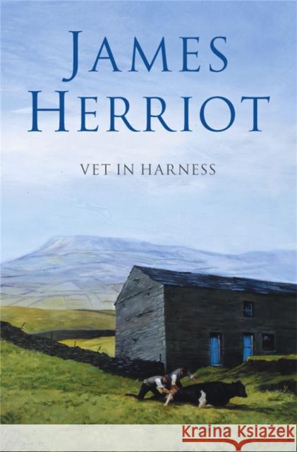 Vet in Harness James Herriot 9780330443562