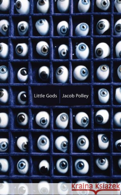 Little Gods Jacob Polley 9780330444200