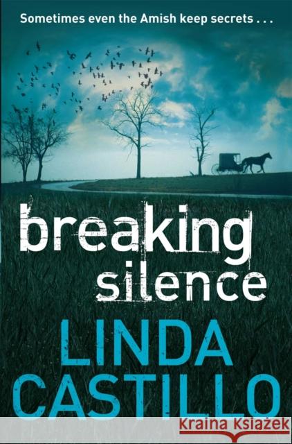 Breaking Silence Linda Castillo 9780330471916 PAN MACMILLAN