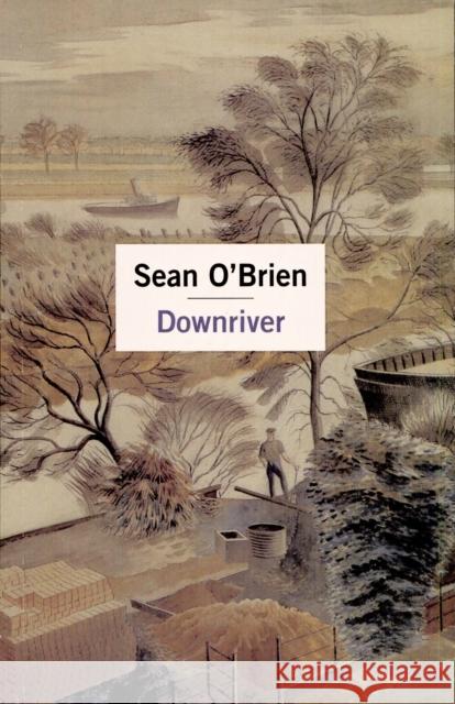 Downriver Sean O'brien 9780330481953 PAN MACMILLAN