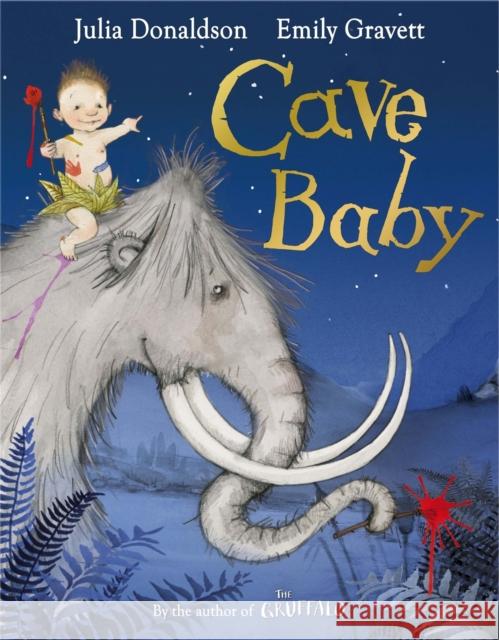 Cave Baby Julia Donaldson 9780330522762