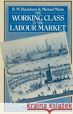 The Working Class in the Labour Market Blackburn R M (Robert Martin)            Michael Mann 9780333243268 Palgrave MacMillan