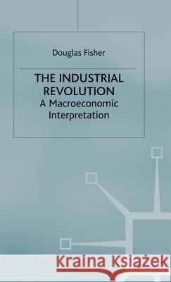 The Industrial Revolution: A Macroeconomic Interpretation Fisher, Douglas 9780333379356