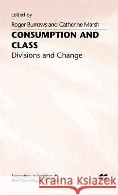 Consumption and Class: Divisions and Change Burrows, Roger 9780333565360