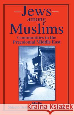 Jews Among Muslims: Communities in the Precolonial Middle East Deshen, Shlomo 9780333626566