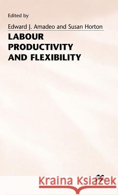 Labour Productivity and Flexibility  9780333643990 PALGRAVE MACMILLAN