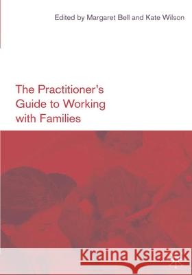 The Practitioner's Guide to Working with Families  9780333922644 PALGRAVE MACMILLAN