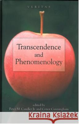 Transcendence and Phenomenology  9780334041436 SCM PRESS