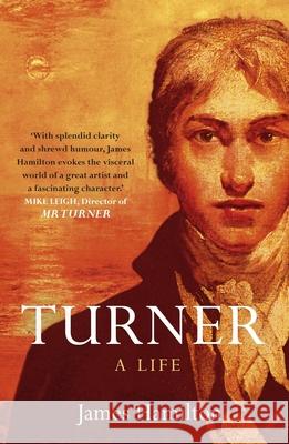 Turner: A Life James Hamilton 9780340628119 Hodder & Stoughton