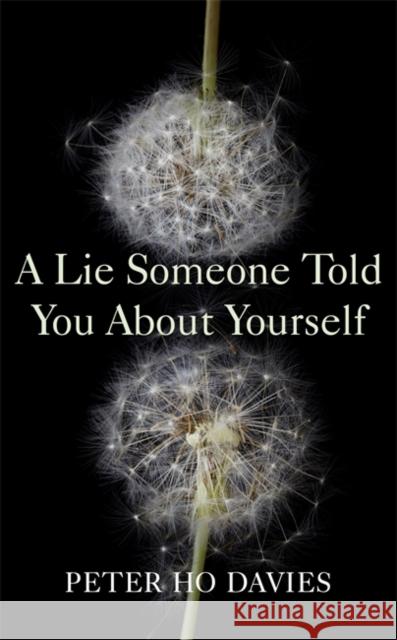 A Lie Someone Told You About Yourself Peter Ho Davies 9780340980279