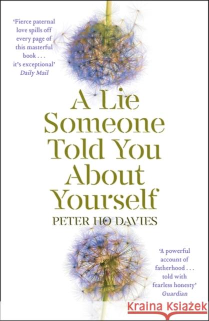 A Lie Someone Told You About Yourself Peter Ho Davies 9780340980293