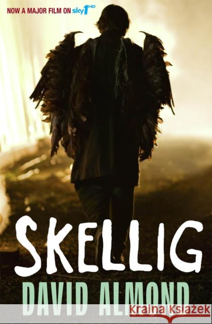 Skellig Almond David 9780340997048 Hachette Children's Group