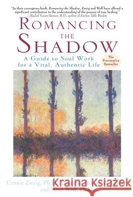 Romancing the Shadow: A Guide to Soul Work for a Vital, Authentic Life Connie Zweig Steve Wolf 9780345417404 Wellspring/Ballantine