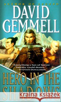 Hero in the Shadows: A Waylander the Slayer Novel David Gemmell Steve Saffel 9780345432254