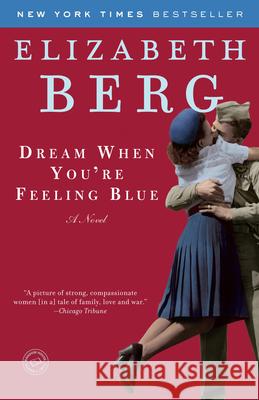 Dream When You're Feeling Blue Elizabeth Berg 9780345487544 Ballantine Books