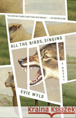 All the Birds, Singing Evie Wyld 9780345802507