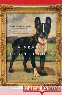 A Nearly Perfect Copy Allison Amend 9780345803146 Anchor Books