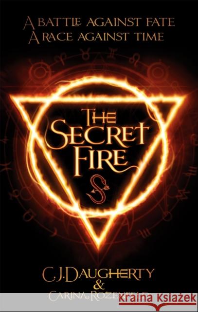 The Secret Fire Carina Rozenfeld 9780349002194
