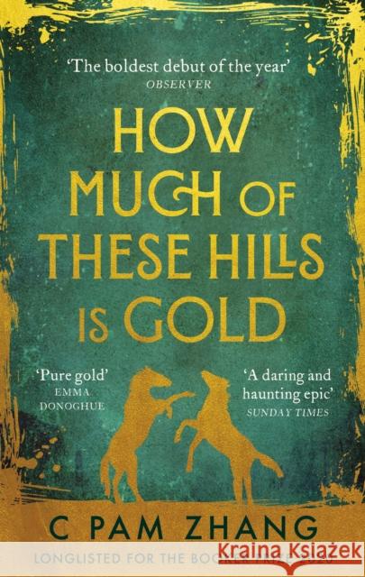 How Much of These Hills is Gold: ‘A tale of two sisters during the gold rush … beautifully written’ The i, Best Books of the Year C Pam Zhang 9780349011455 Little, Brown Book Group