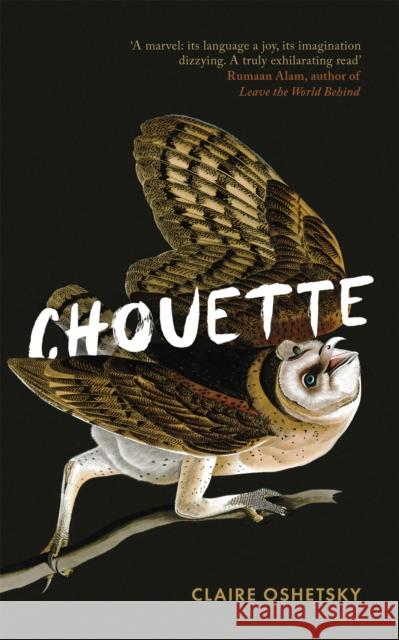 Chouette Claire Oshetsky 9780349014906 Little, Brown