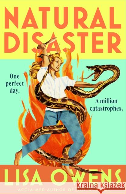 Natural Disaster Lisa Owens 9780349020242
