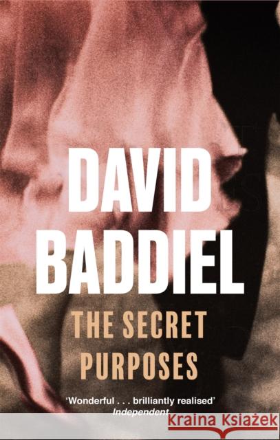 The Secret Purposes David Baddiel 9780349117461 Little, Brown Book Group