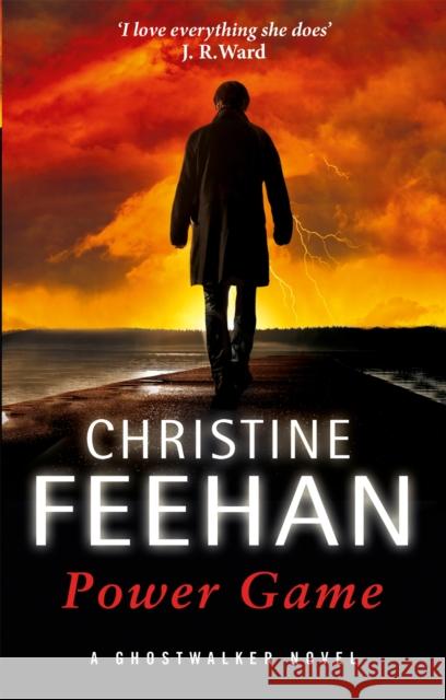 Power Game Feehan, Christine 9780349416441 Little, Brown Book Group