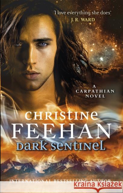 Dark Sentinel Feehan, Christine 9780349419770 Little, Brown Book Group