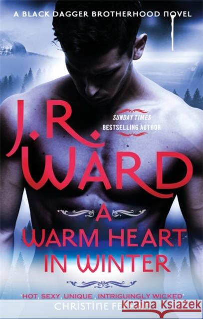 A Warm Heart in Winter Ward, J. R. 9780349427799 Little, Brown Book Group