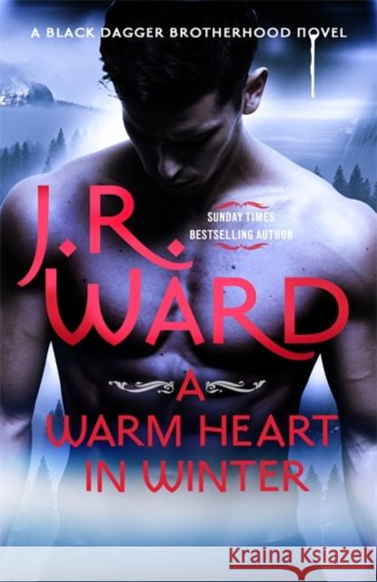 A Warm Heart in Winter Ward, J. R. 9780349427805 Little, Brown