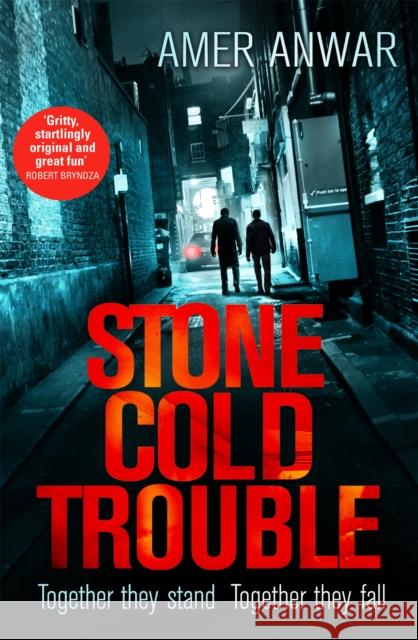 Stone Cold Trouble Amer Anwar 9780349700342