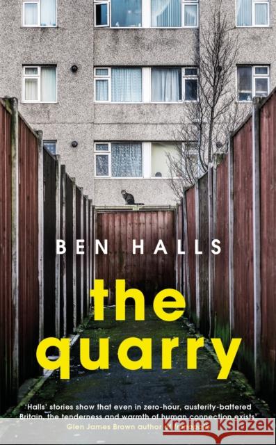 The Quarry Ben Halls 9780349701103