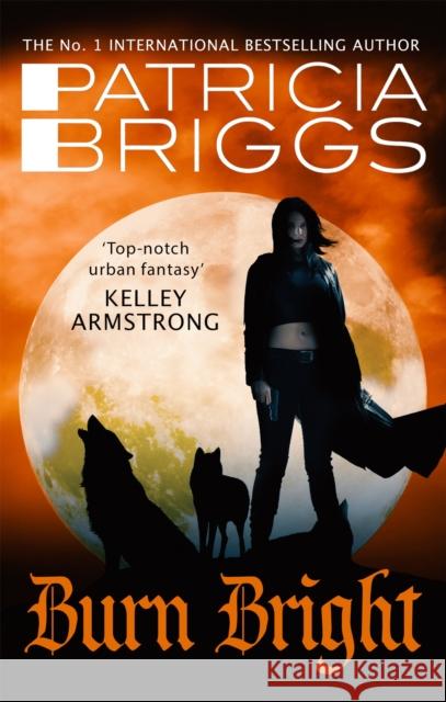 Burn Bright: An Alpha and Omega Novel: Book 5 Briggs, Patricia 9780356506005