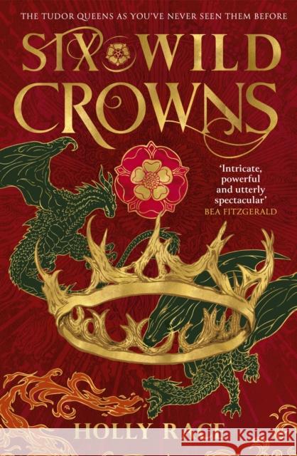 Six Wild Crowns: YOUR NEW ROMANTIC EPIC FANTASY OBSESSION Holly Race 9780356522678 Little, Brown