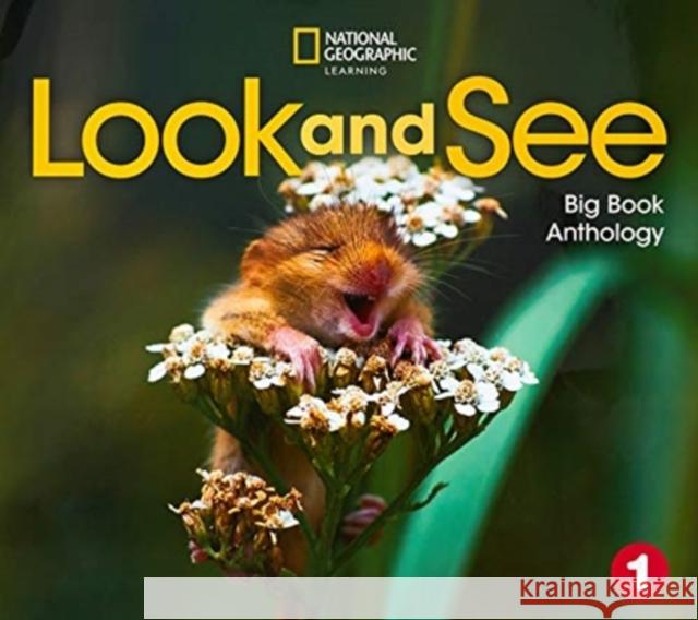 Look and See 1: Big Book Anthology Susannah Reed   9780357431153 National Geographic/(ELT)