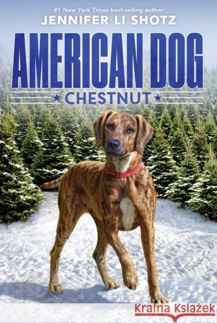 Chestnut Jennifer Li Shotz 9780358108740 Houghton Mifflin