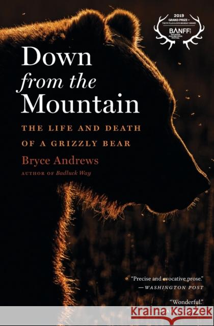 Down from the Mountain: The Life and Death of a Grizzly Bear Bryce Andrews 9780358299271 Mariner Books