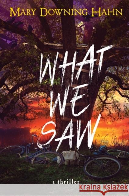 What We Saw: A Thriller Hahn, Mary Downing 9780358414414 Clarion Books