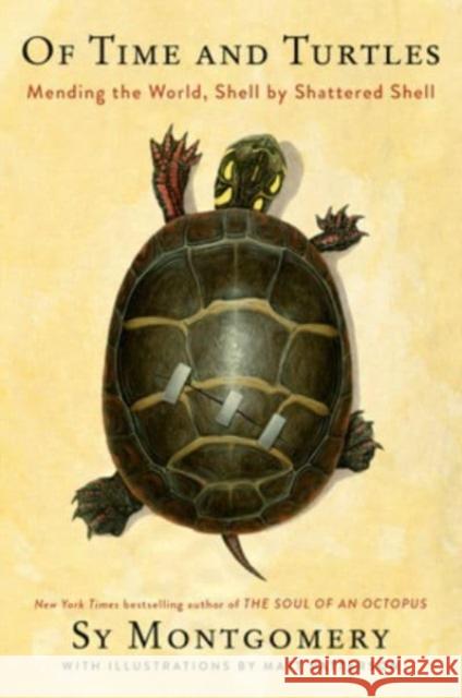 Of Time and Turtles: Mending a Stalled and Broken World, Shell by Shattered Shell Sy Montgomery 9780358458180