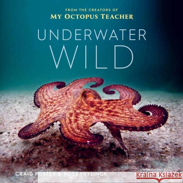 Underwater Wild: My Octopus Teacher's Extraordinary World Craig Foster Ross Frylinck Jane Goodall 9780358664758 