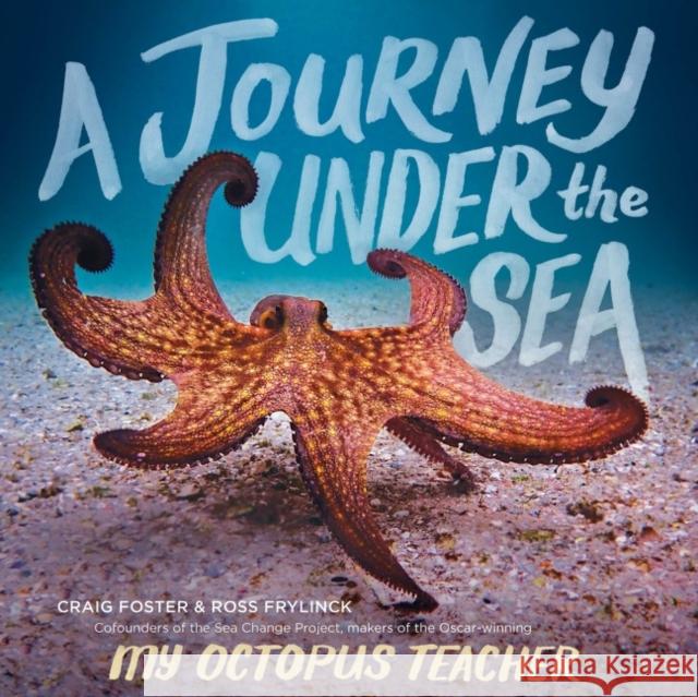 A Journey Under the Sea Craig Foster 9780358677864 Clarion Books