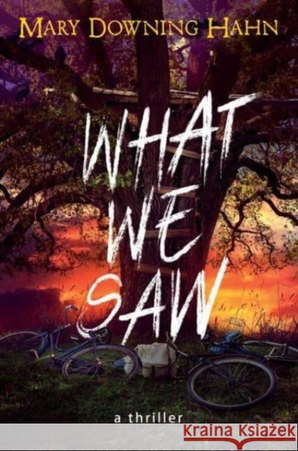 What We Saw: A Thriller Mary Downing Hahn 9780358697312 Clarion Books