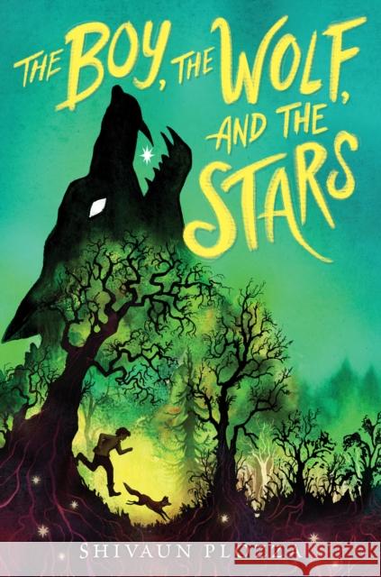 The Boy, the Wolf, and the Stars Shivaun Plozza 9780358732501 HarperCollins