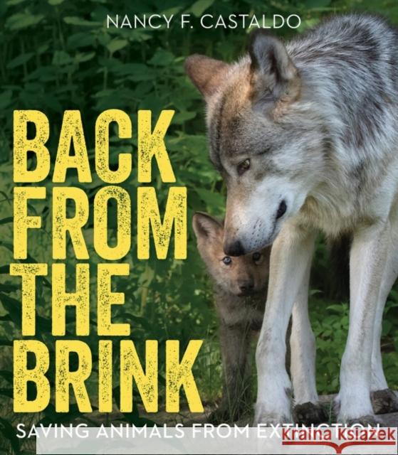 Back from the Brink: Saving Animals from Extinction Nancy Castaldo 9780358743231