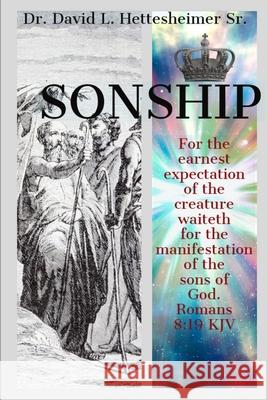 Sonship David Hettesheimer 9780359138241