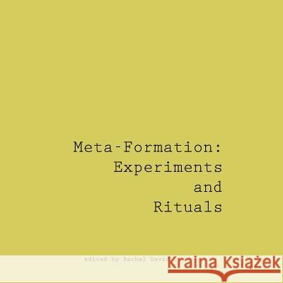 Meta-Formation: Experiments and Rituals Rachel David 9780359169696 Lulu.com