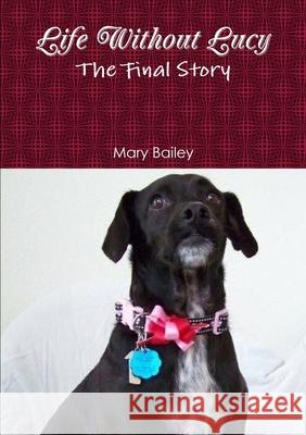 Life Without Lucy Mary Bailey 9780359199389